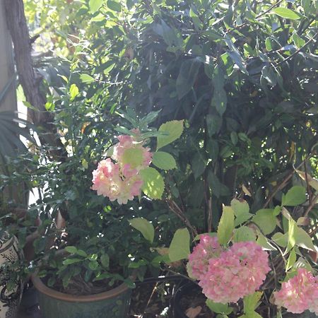 Magnolia House Bed & Breakfast Blenheim Luaran gambar