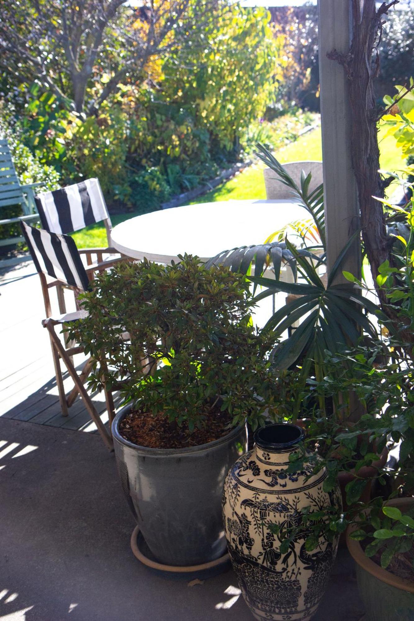 Magnolia House Bed & Breakfast Blenheim Luaran gambar